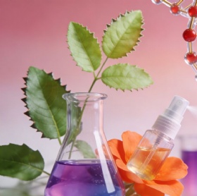 Cosmetic active ingredients and functional components